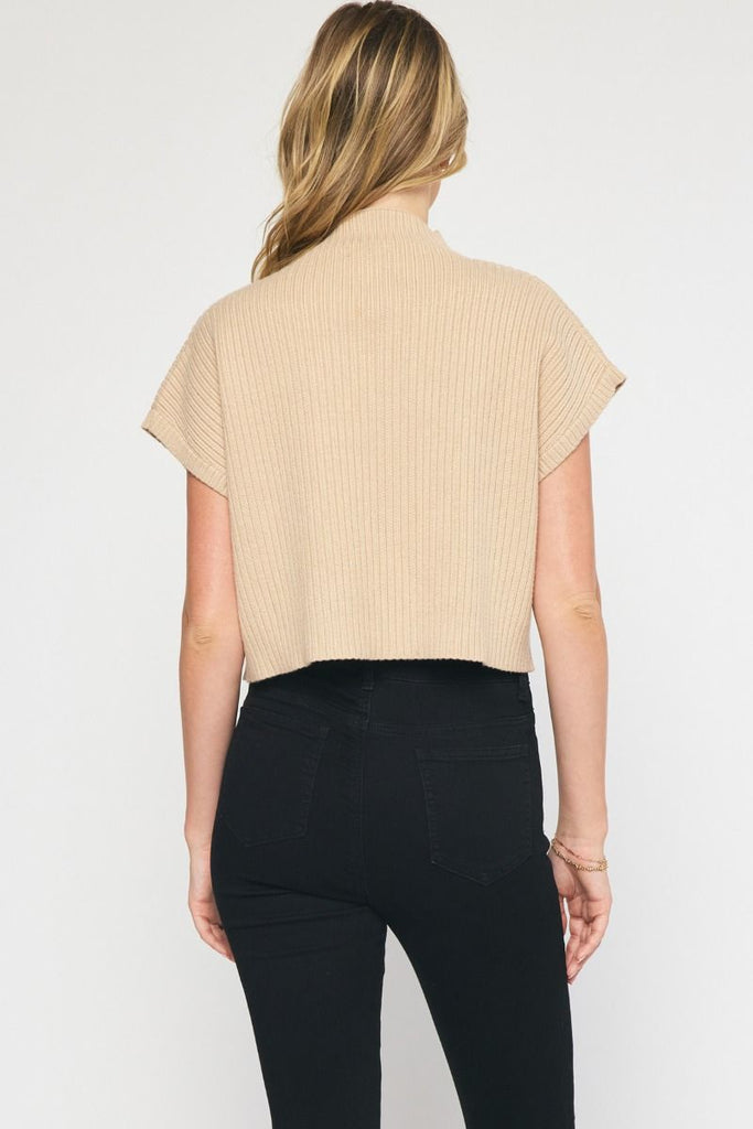 Bone Mock Neck Short Sleeve Sweater - MISRED